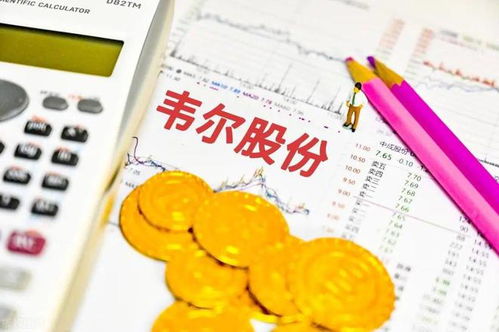 中國(guó)十大芯片概念龍頭公司概覽及其在電子產(chǎn)品研發(fā)與銷售中的作用